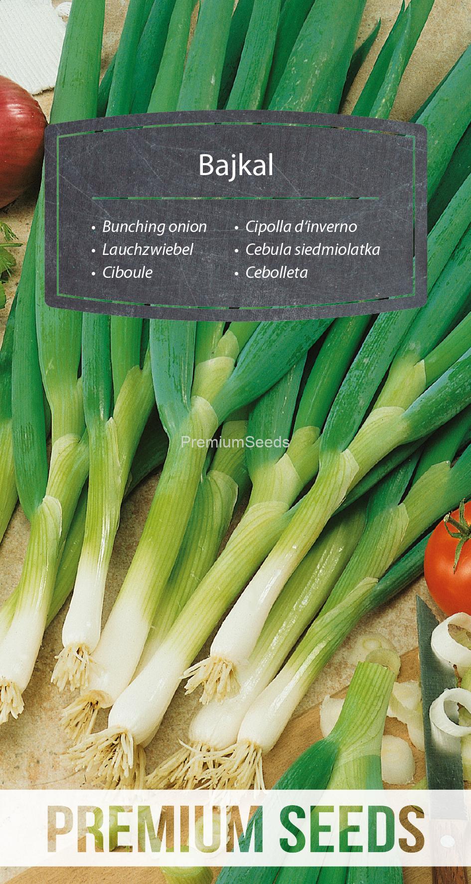 WORLD N G 470 0020.indd Bunching onion Bajkal - seeds