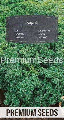 Kale Kapral - seeds