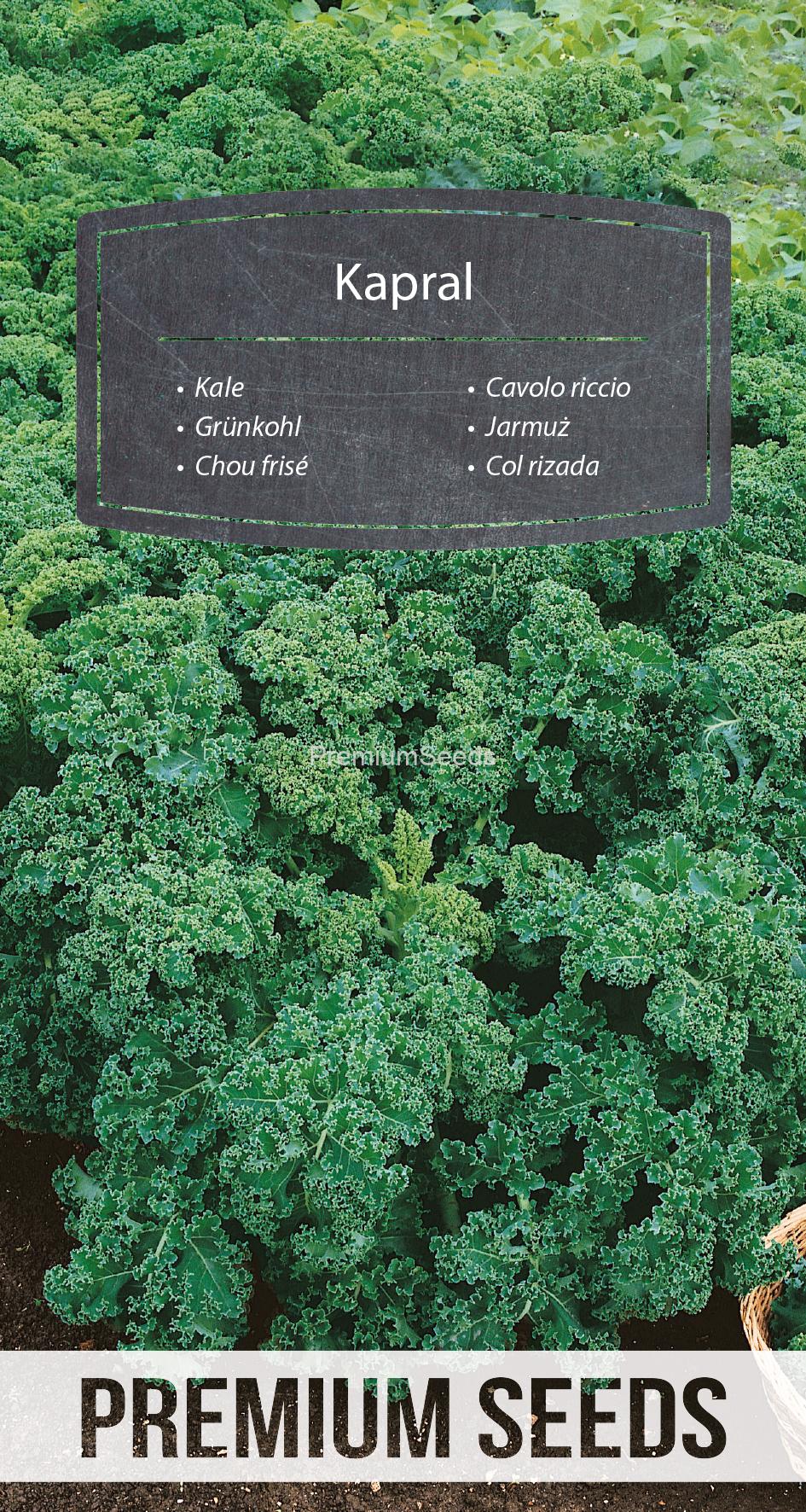 WORLD N G 470 0672.indd Kale Kapral - seeds