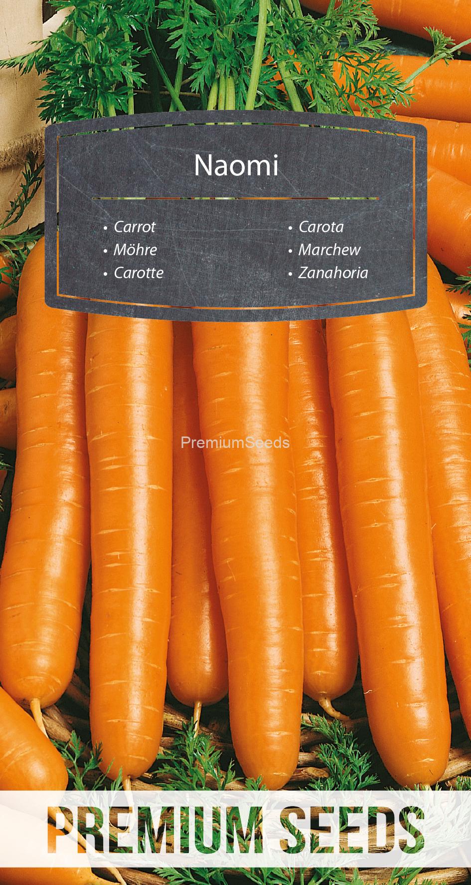 WORLD N G 470 0682.indd Carrot Naomi - seeds