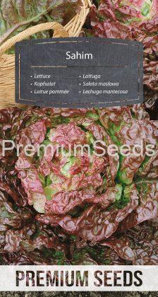 Lettuce Sahim - seeds