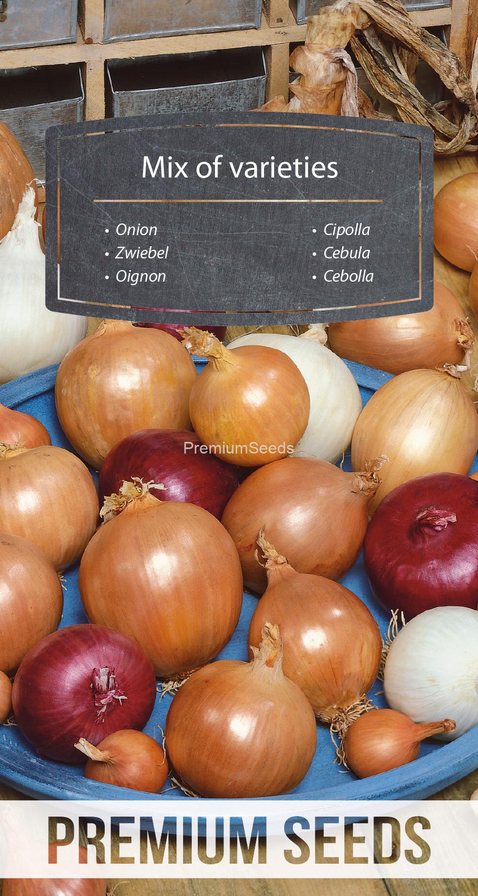WORLD N G 470 1142.indd Onion - mix of varieties - seeds