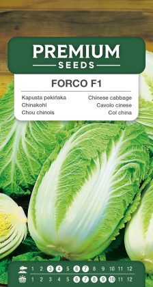 Chinese cabbage Forco F1 – seeds