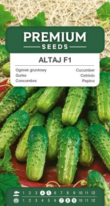 Cucumber Altaj F1 – seeds