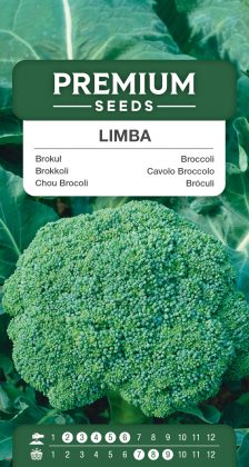 Broccoli Limba – seeds
