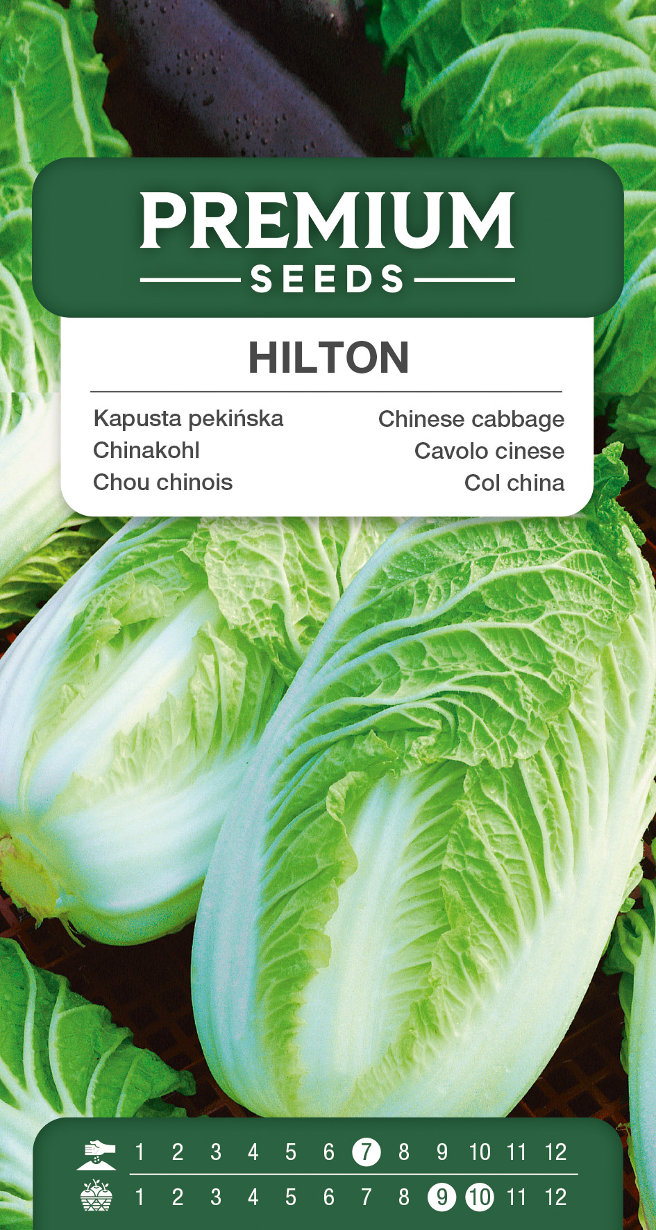 SWIA-WO-GE-11296_VS Chinese cabbage Hilton – seeds