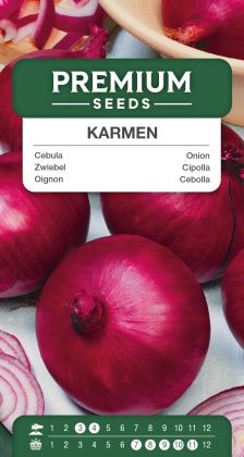 Onion Karmen – seeds