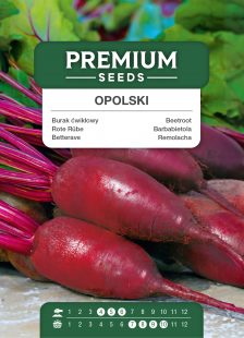 Opolski Beetroot – seeds