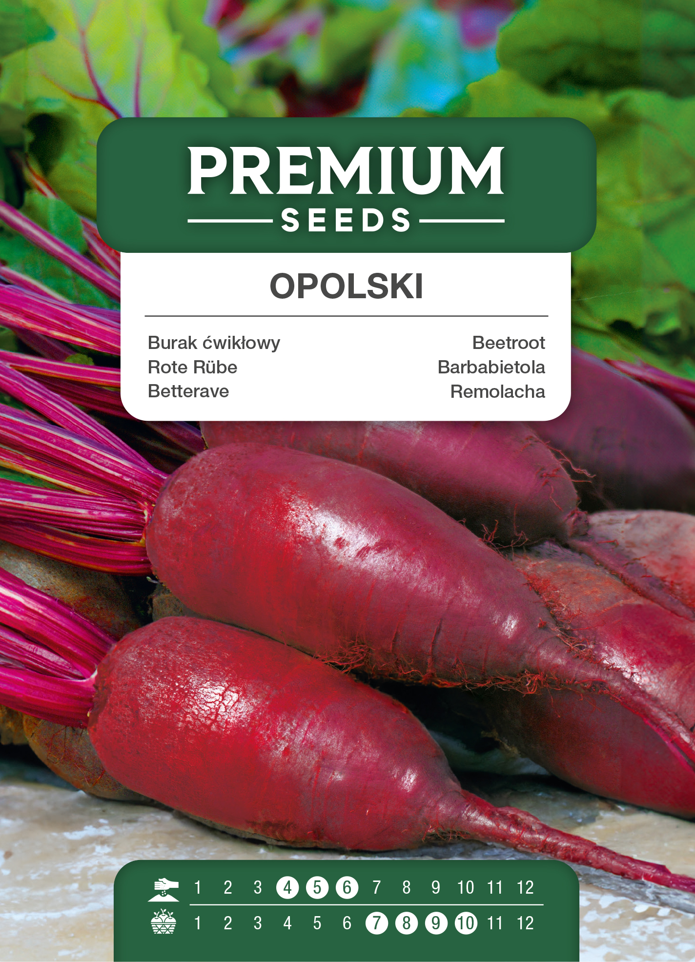 SWIA-WO-GE-21008_VS Opolski Beetroot – seeds