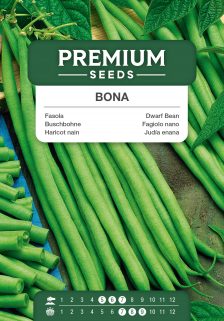 Dwarf Bean Bona – seeds
