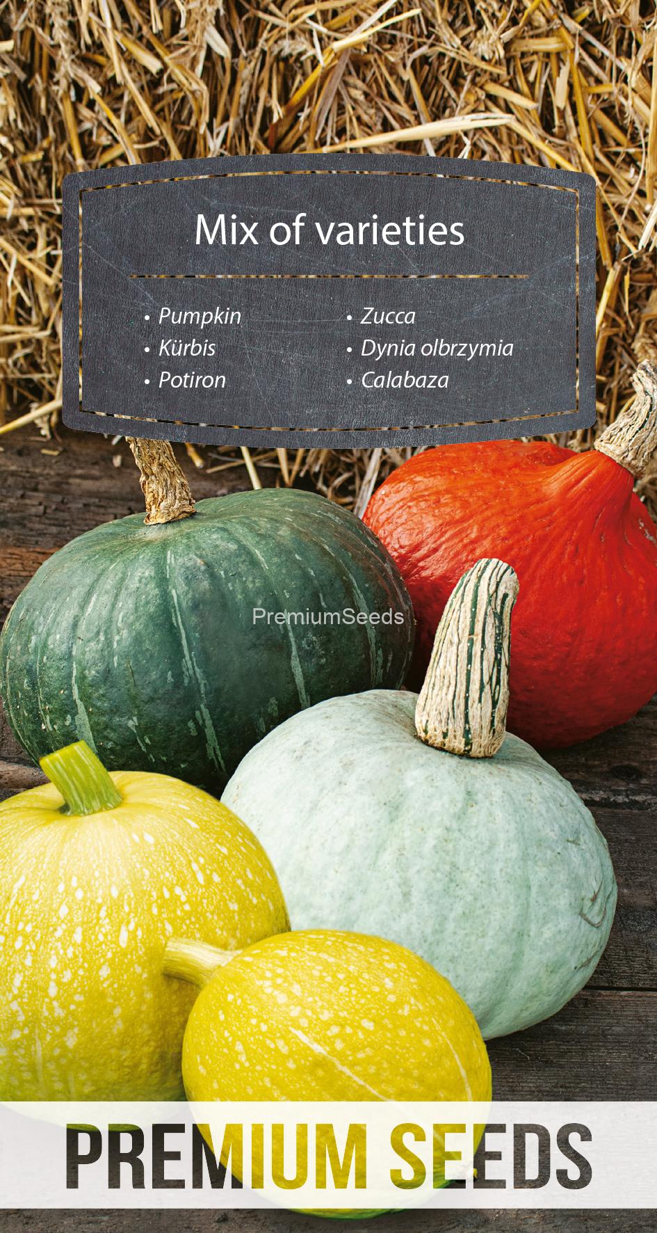 WORLD 14105319PA.indd Dynia olbrzymia - mieszanka odmian – nasiona