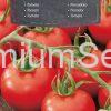 Tomate Dafne F1 - semences