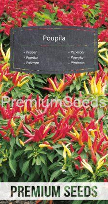 Poivrons Poupila - semences
