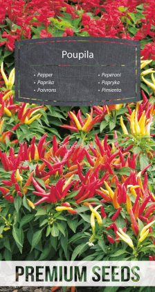 Poivrons Poupila - semences