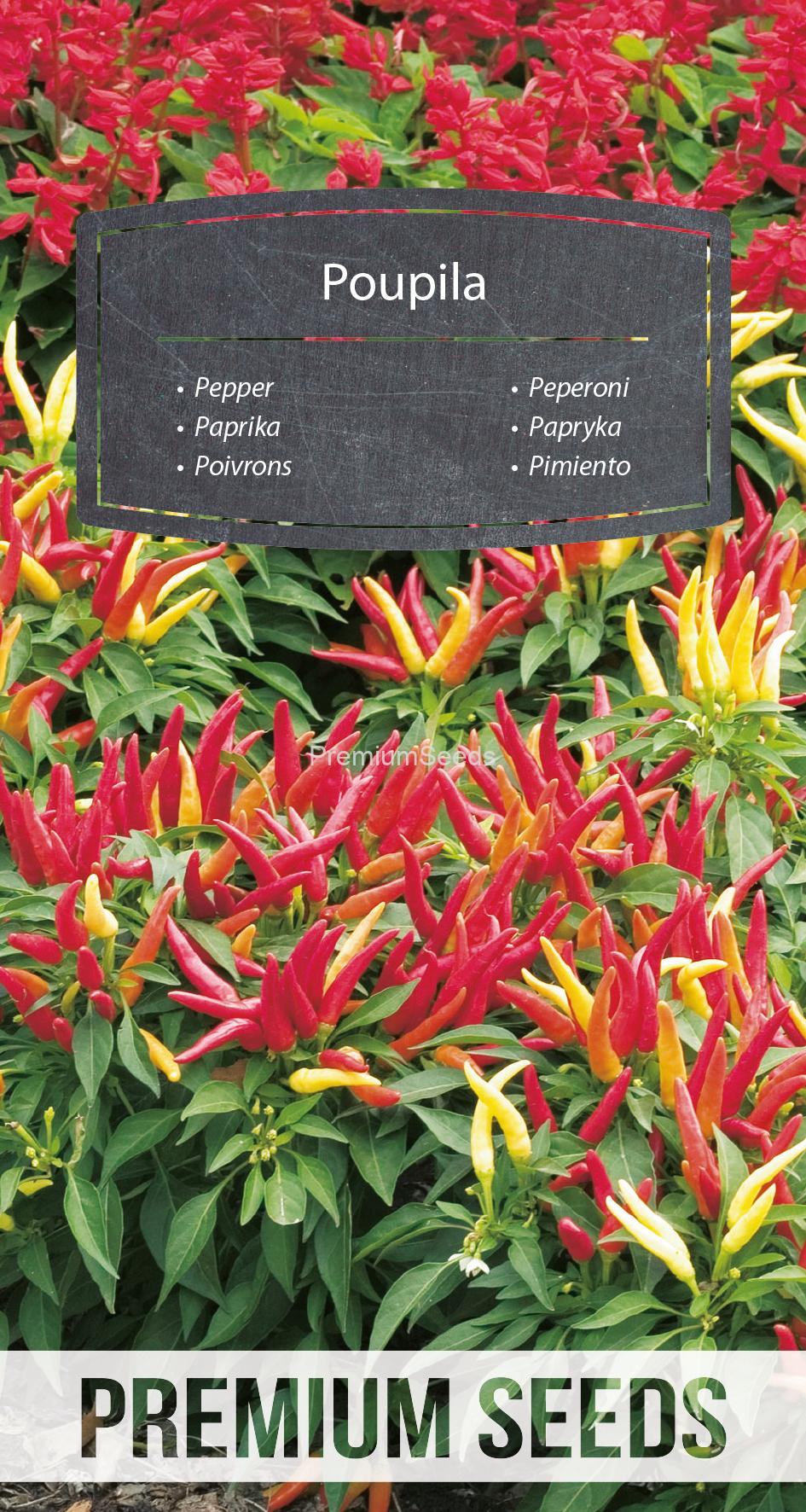 WORLD 14253183PA.indd Paprika Poupila - Samen