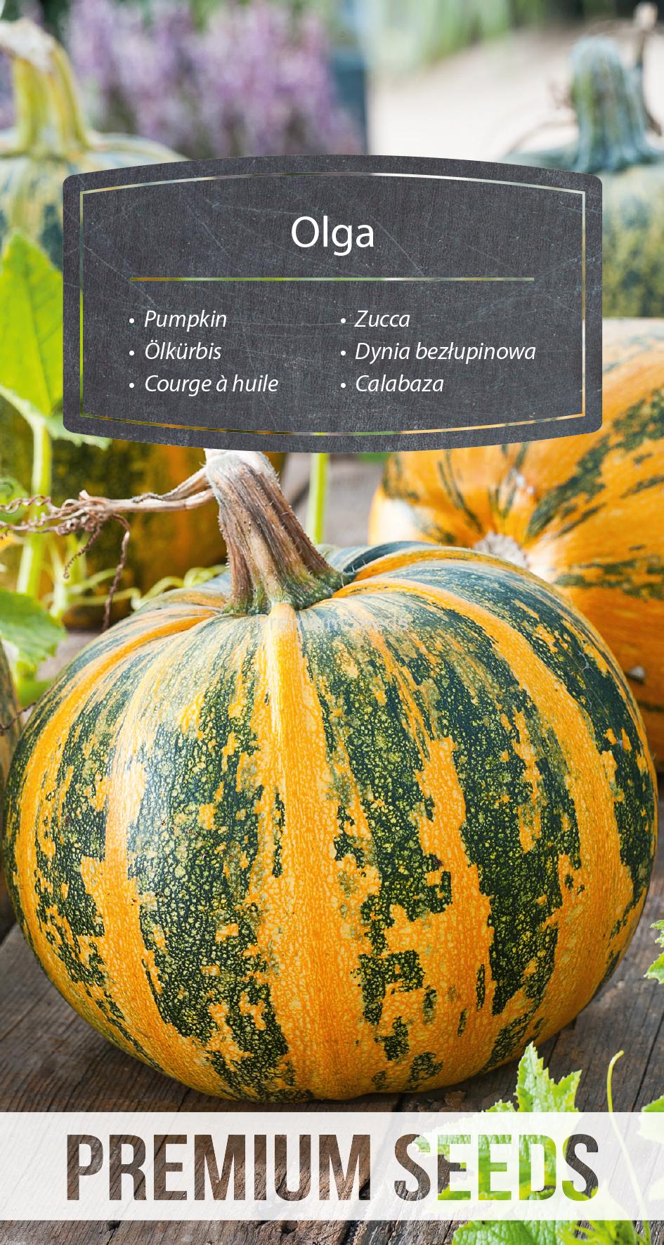 WORLD 14283900PA.indd Zucca Olga - semi