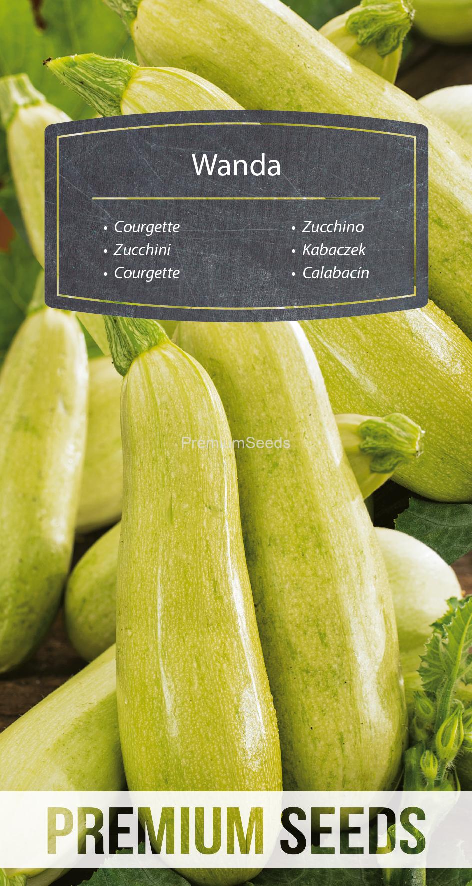 WORLD 14292505PA.indd Zucchini Wanda - Samen