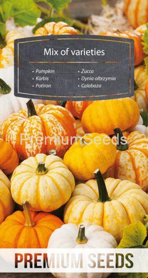 Pumpkin Golias - seeds