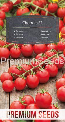 Tomate Cherrola F1 - semences
