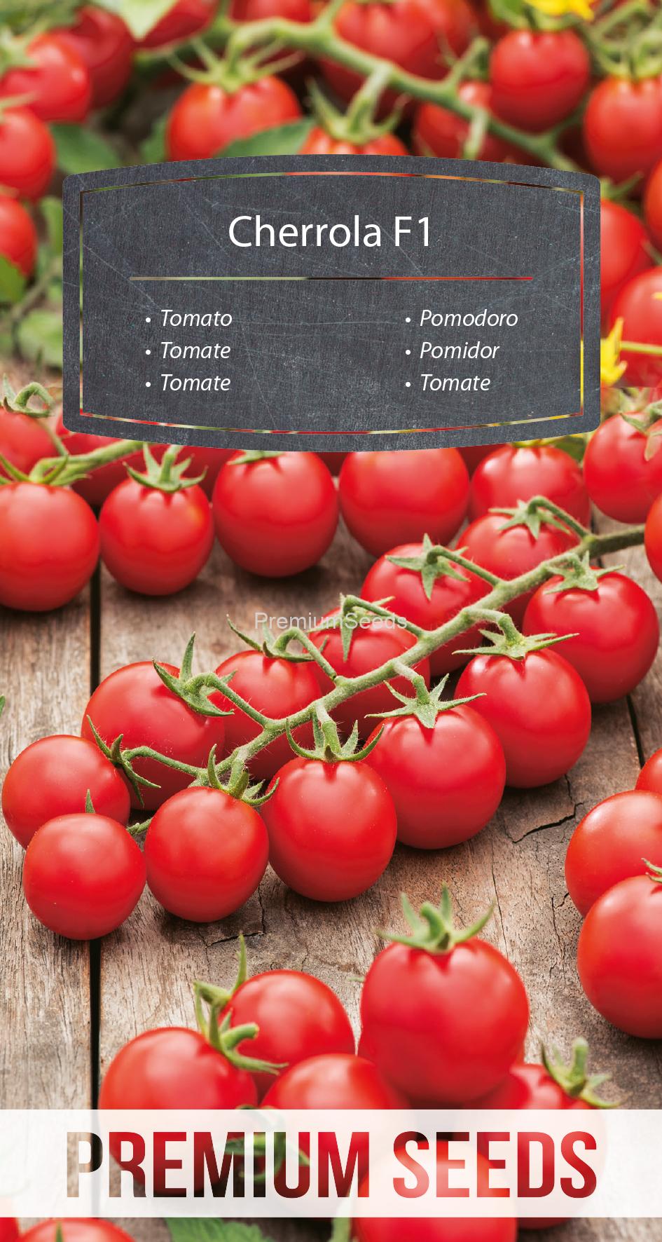 WORLD 14308581PA.indd Tomate Cherrola F1 - Samen