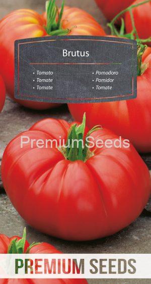 Tomate Brutus - semillas