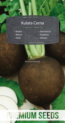 Rzodkiew Kulata Cerna – nasiona