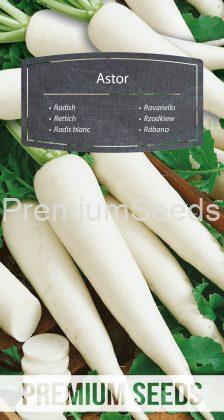 Radis blanc Astor - semences