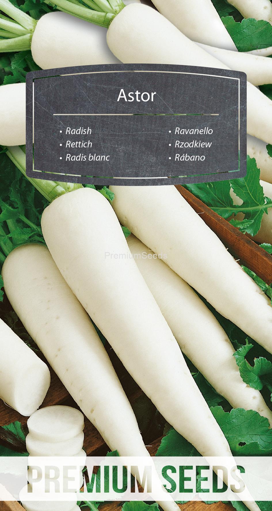 WORLD N 170 0881.indd Radis blanc Astor - semences