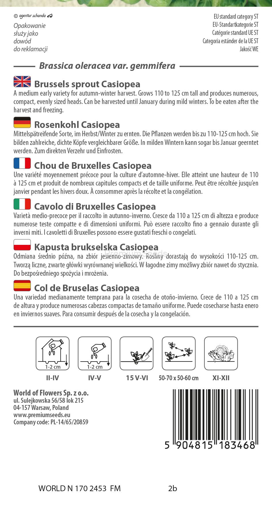 WORLD N 170 2453.indd Col de Bruselas Casiopea - semillas