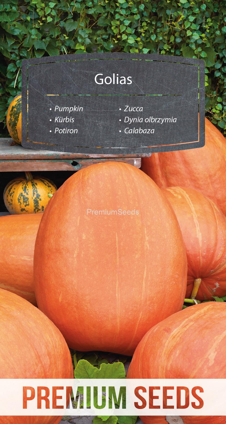 WORLD N 170 6398.indd Zucca Golias - semi