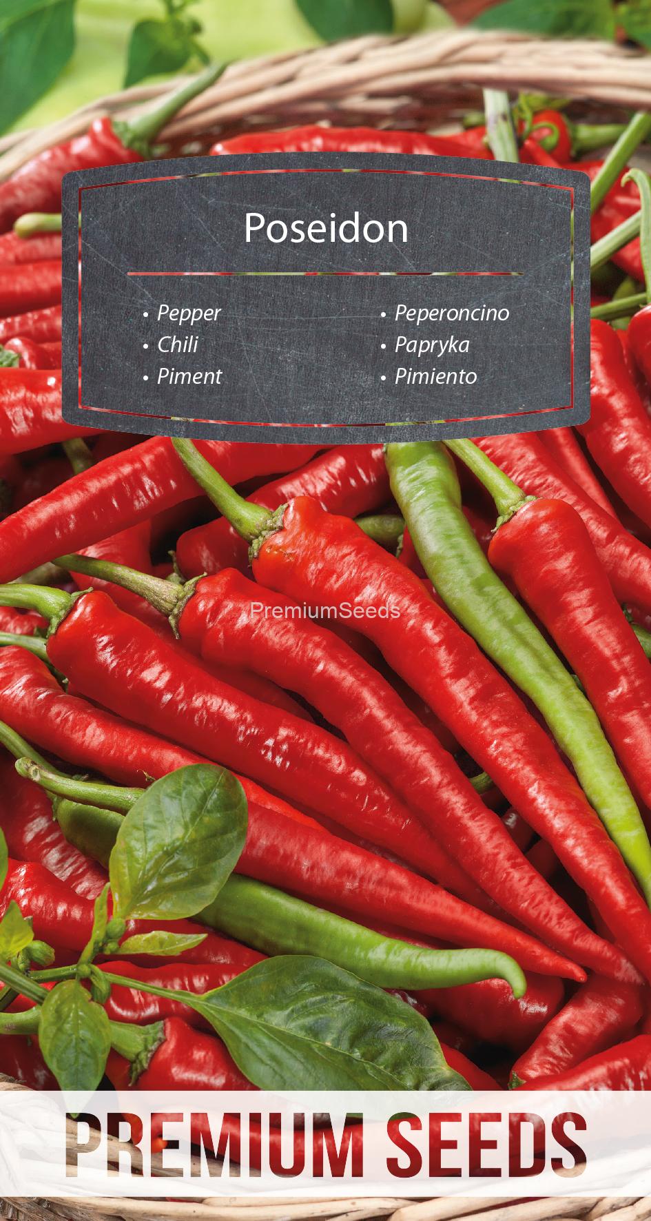 WORLD N 170 7159.indd Pimiento Picante Poseidon - semillas