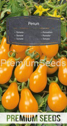 Pomodoro Perun - semi