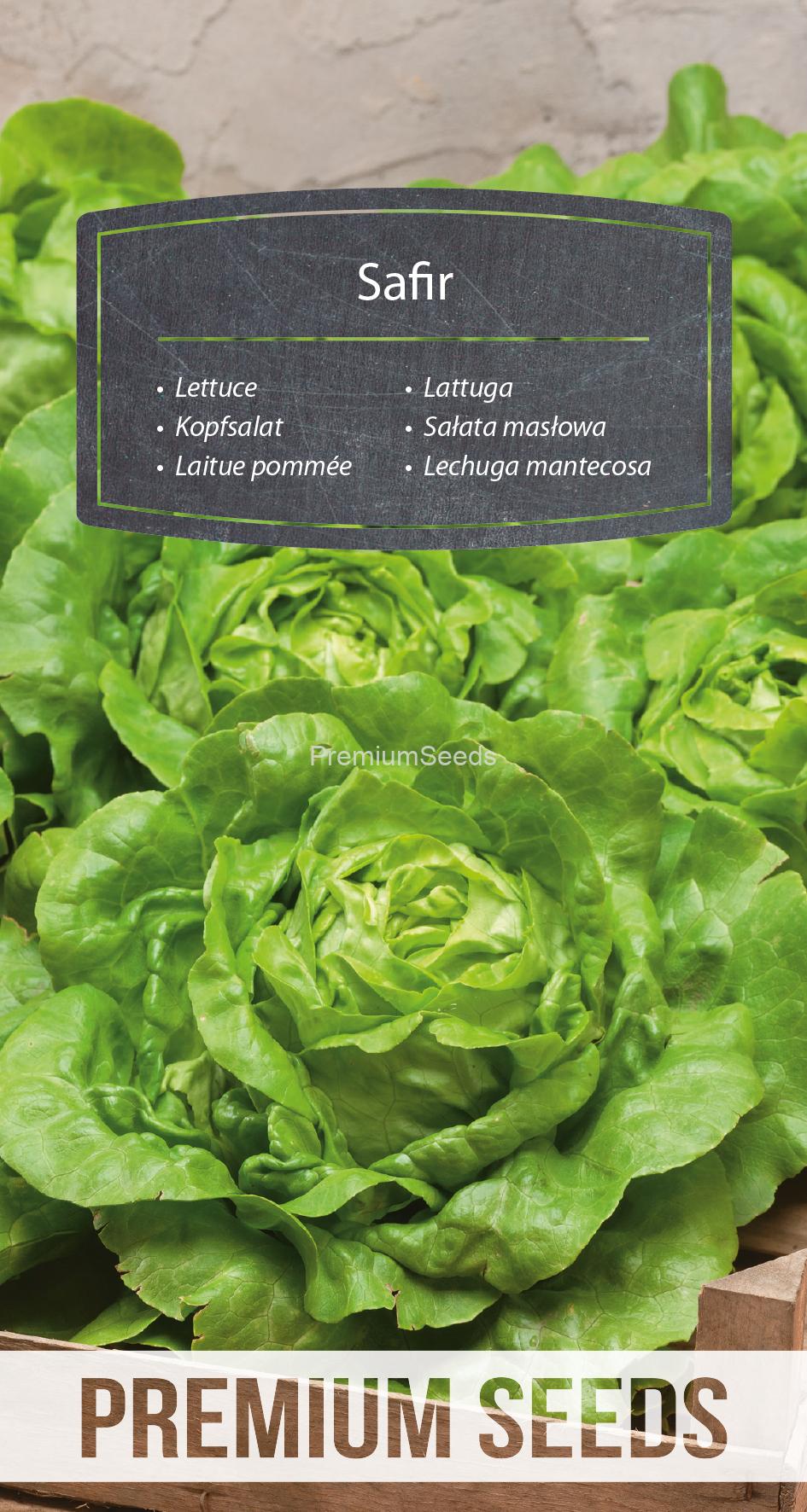 WORLD N 171 4319.indd Kopfsalat Safir - Samen