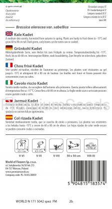 Col rizada Kadet - semillas