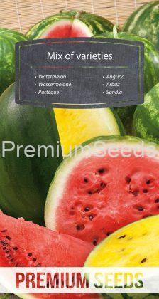 Wassermelone - Mischung verschiedener Sorten - Samen