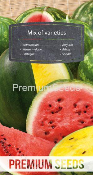 Wassermelone - Mischung verschiedener Sorten - Samen