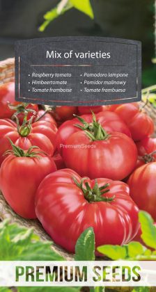 Remove term: Tomate frambuesa - mezcla de variedades - semillas Tomate frambuesa - mezcla de variedades - semillas