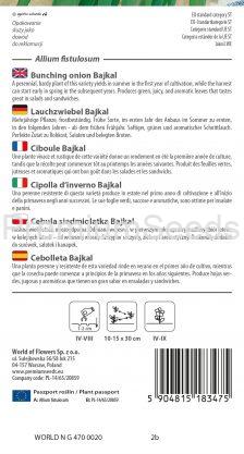 Cebolleta Bajkal - semillas