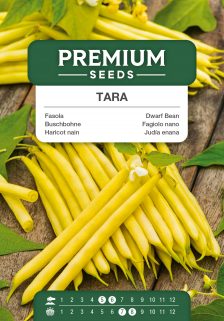 Tara Yellow Dwarf Bean – seeds