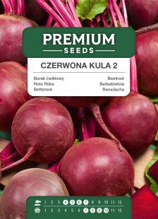 Rote Rübe RED BALL 2 ('Czerwona Kula 2') - Samen