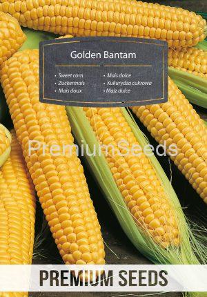 Sweet corn - Golden Bantam - seeds