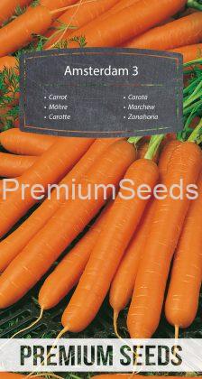 Carrot - Amsterdam 3 - seeds