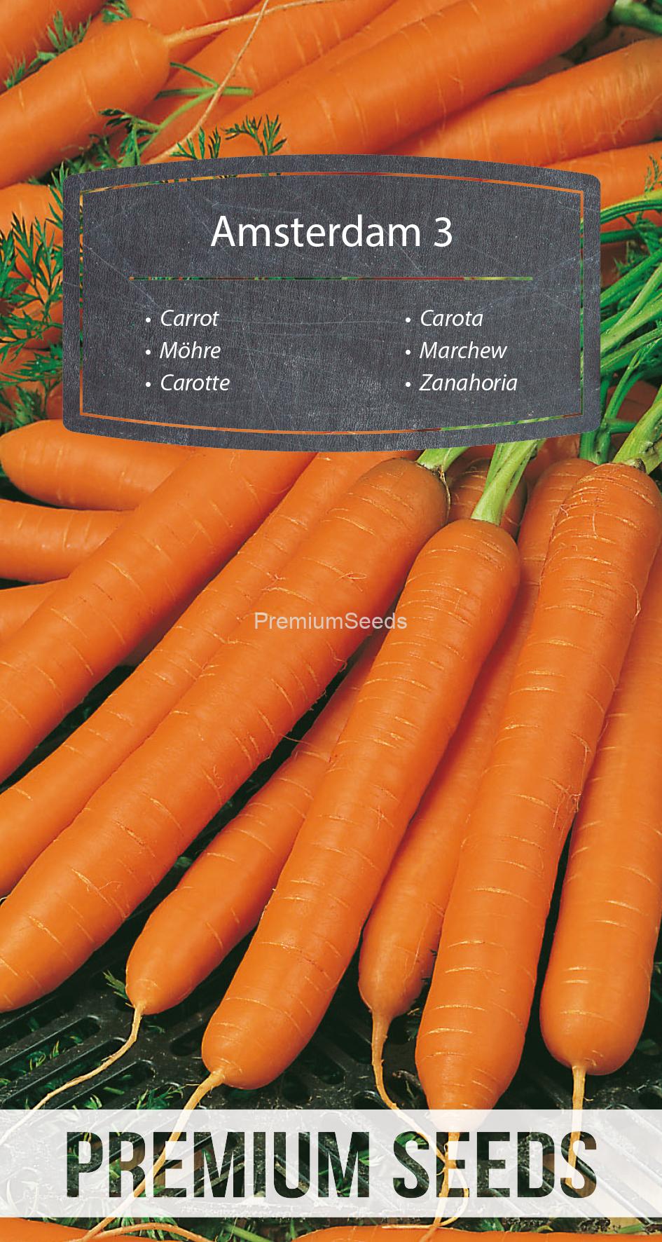WORLD 10083963PA.indd Carrot - Amsterdam 3 - seeds