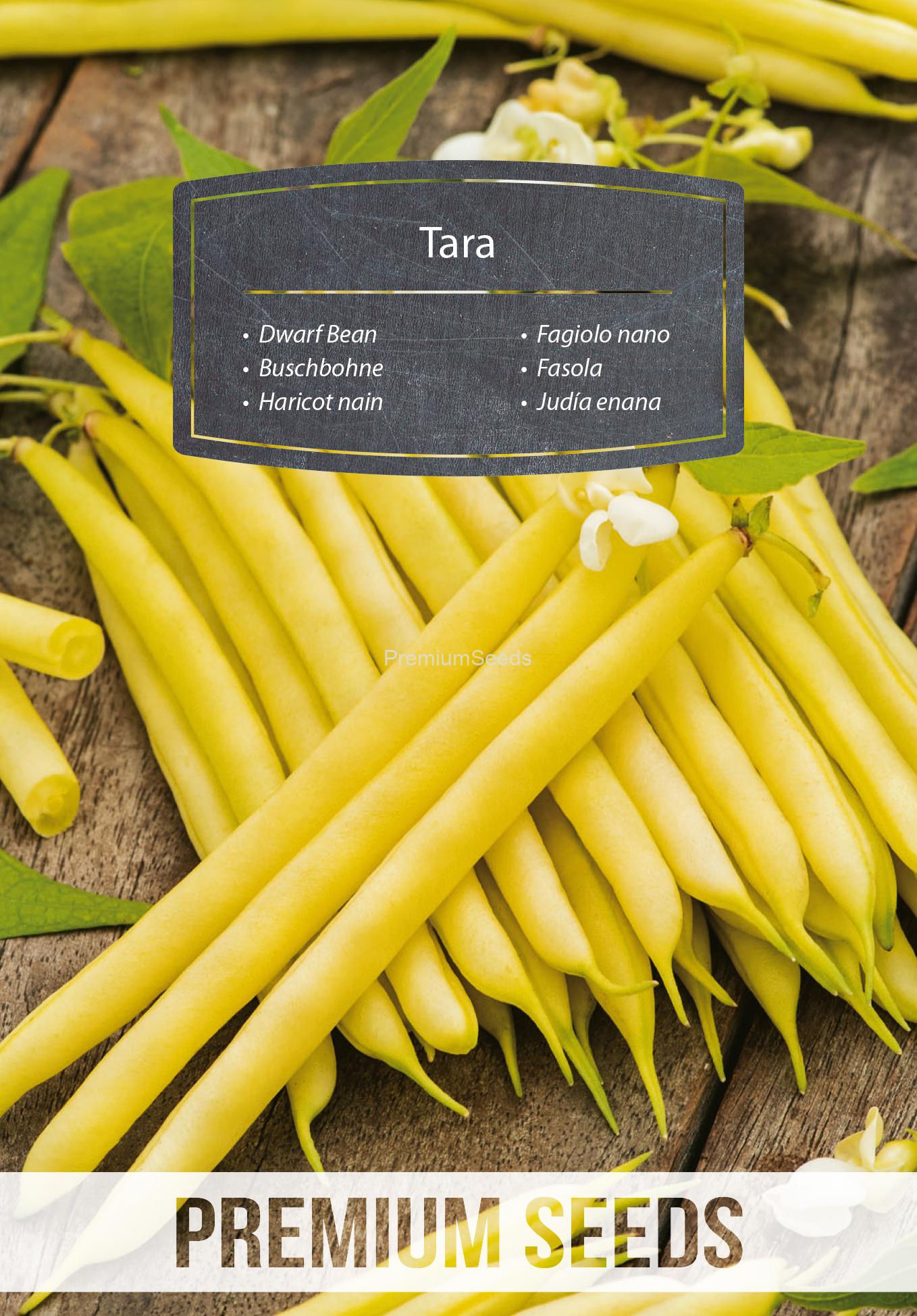 WORLD 14309537PA.indd Tara Yellow Dwarf Bean - seeds