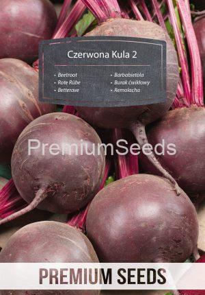 Beetroot Red Ball 2 - seeds