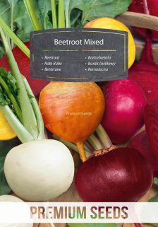 Burak ćwikłowy - mieszanka kolorowych odmian – nasiona