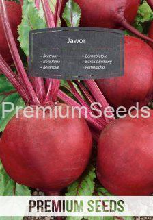 Beetroot Jawor - seeds