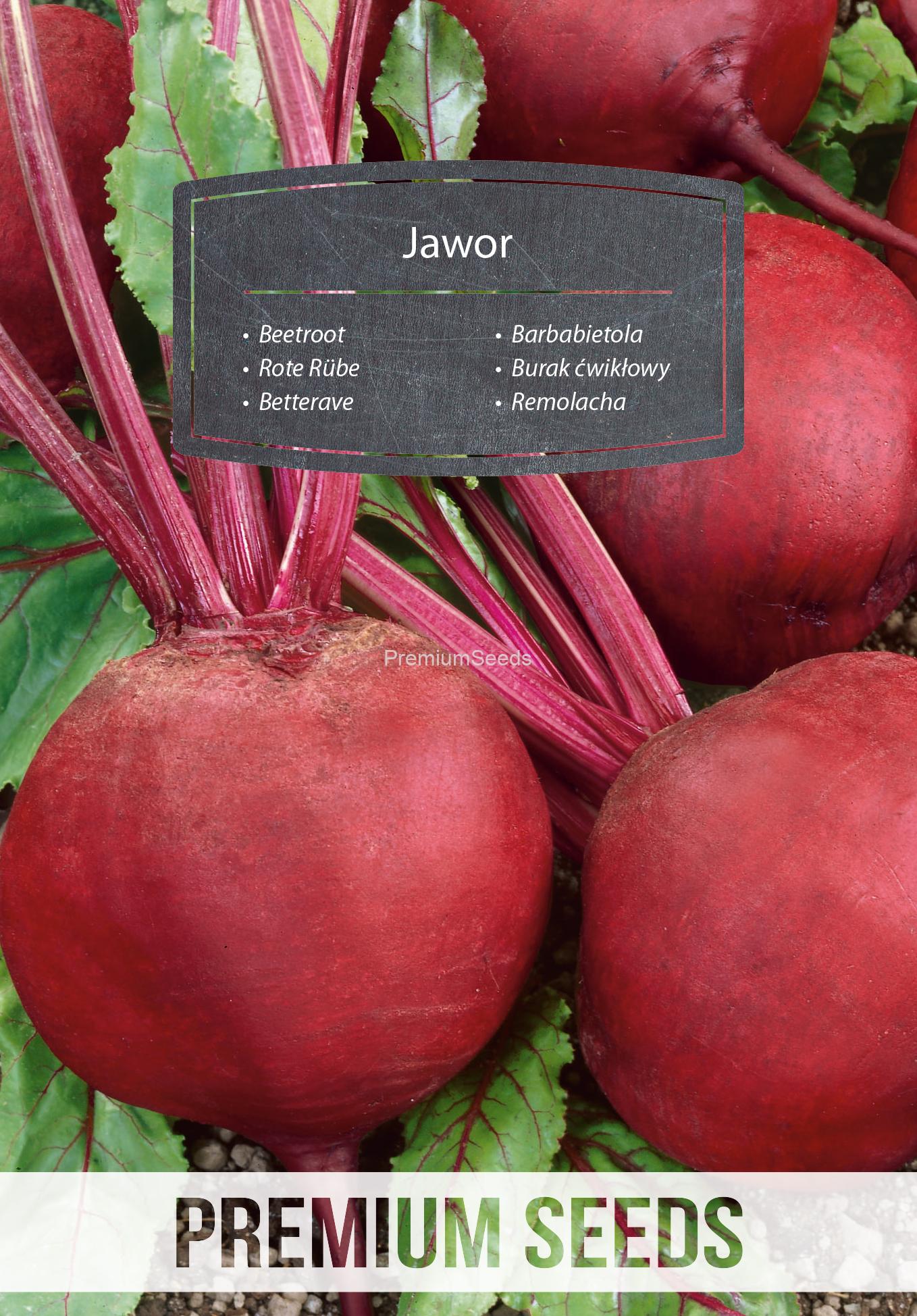 WORLD N G 470 1915.indd Barbabietola Jawor - semi