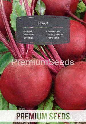 Beetroot Jawor - seeds