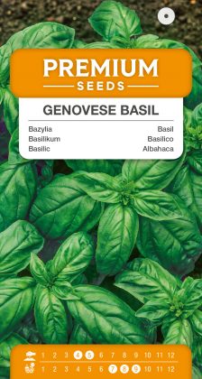 Genovese basil – seeds